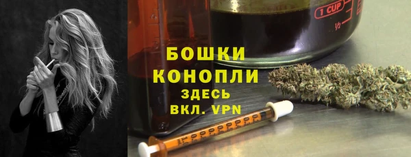 apvp Богданович