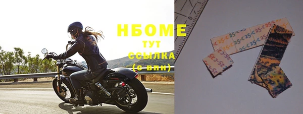 хмурый Бородино