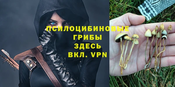 мяу мяу кристалл Богородицк