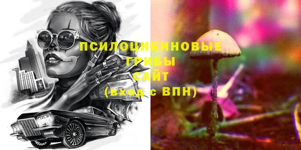 хмурый Бородино