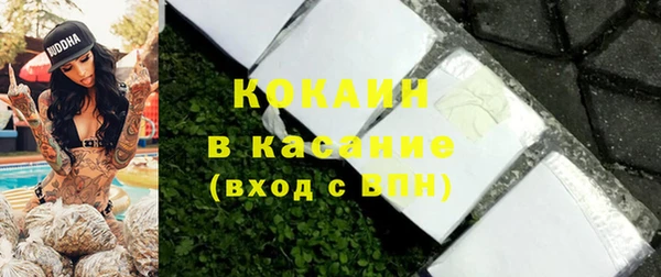 хмурый Бородино