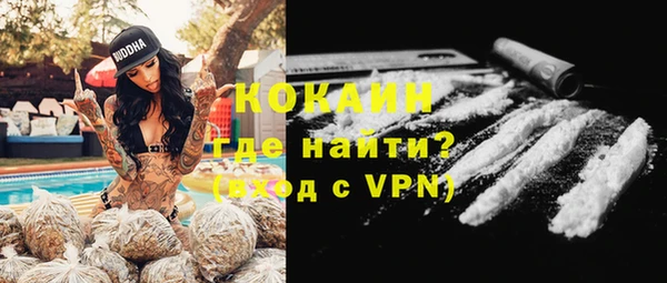 хмурый Бородино
