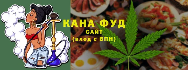 хмурый Бородино