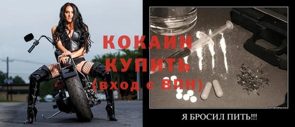 хмурый Бородино